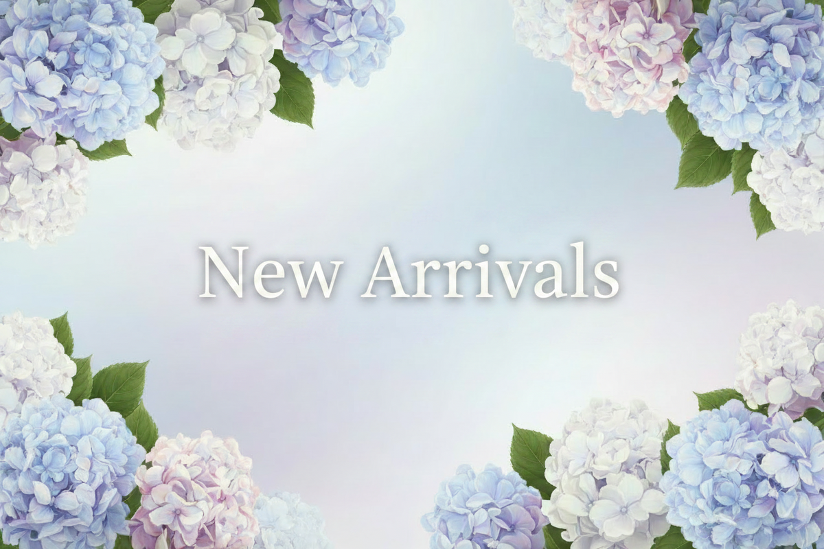 New Arrivals