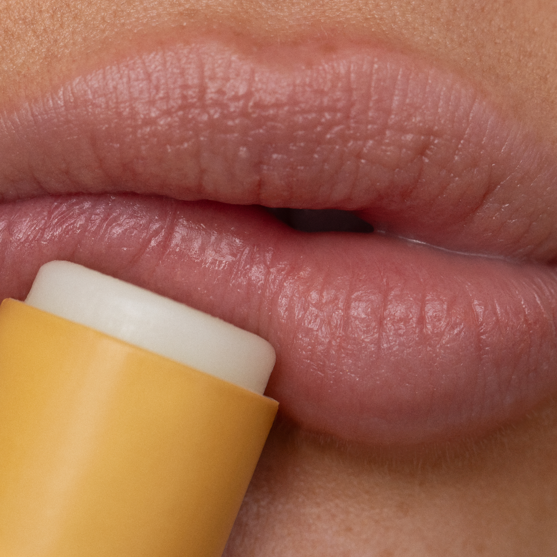 applying wild honey lip balm on lips