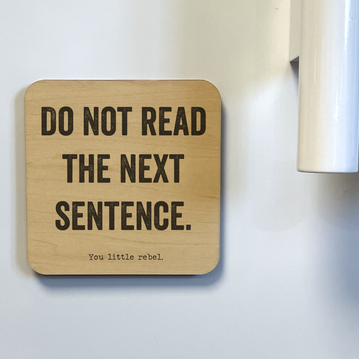 funny refrigerator magnet