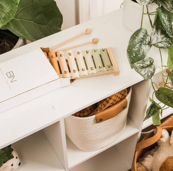 Neutral Colored Educational Xylophone Toy