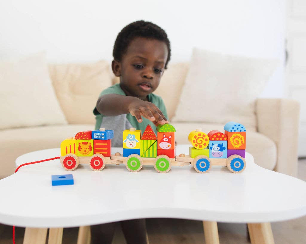 CASE Wooden Stacking Train Set for Kids - Pull Along Train