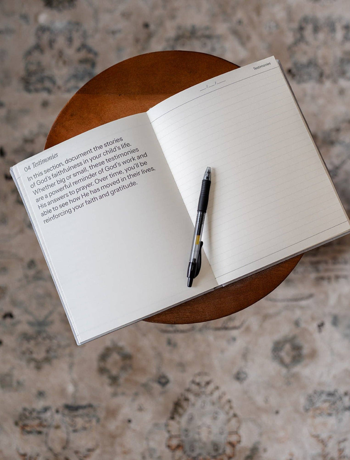 Destiny Journal: A journey of Prayer, Promise and Purpose for you Child